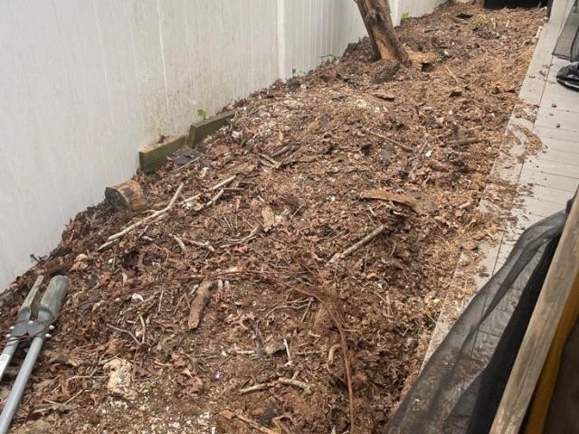 level the area, debris removal and top soil on top