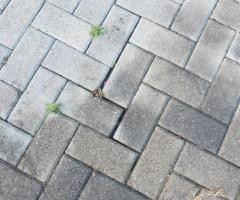 repair or reinstall same bricks