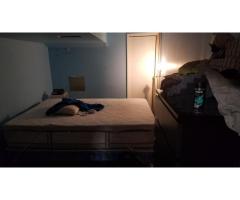 painting small basement apartment: Bedroom, Living room, Kitchen