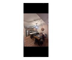 spackling up to 5 areas and painting 2 floors
