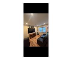 spackling up to 5 areas and painting 2 floors
