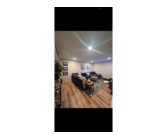 spackling up to 5 areas and painting 2 floors