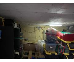 basement work