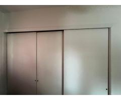 carpentry work, drywall, painting and paver