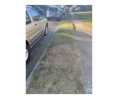 sod or seed -- we need nice lawn in the bad areas