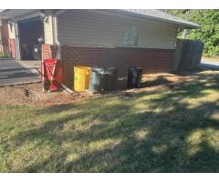 sod or seed -- we need nice lawn in the bad areas