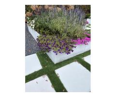 1 GREENHOUSE and 14 CONCRETE BOXES