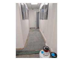 painting walls and molding